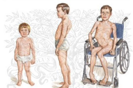 1531992310903204FKF6.png 圖片44.png