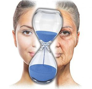 153204603539815686jN.png 圖片25.png