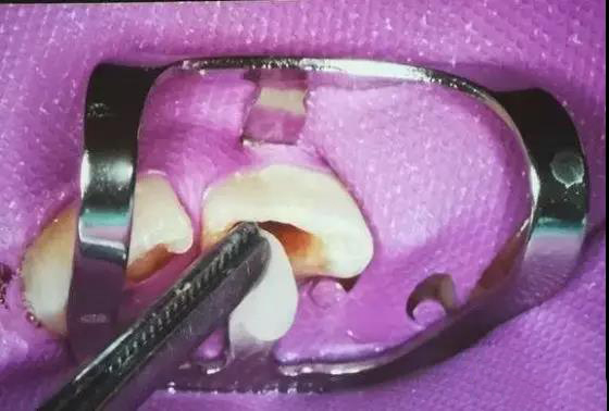 1536288724221925xAhD.jpg 666.jpg